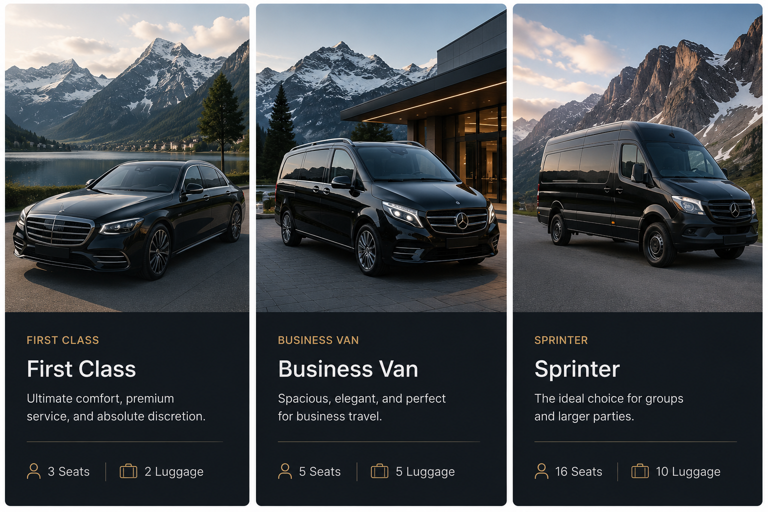 ALPINEDRIVE First Class, Business Van and Sprinter vehicles